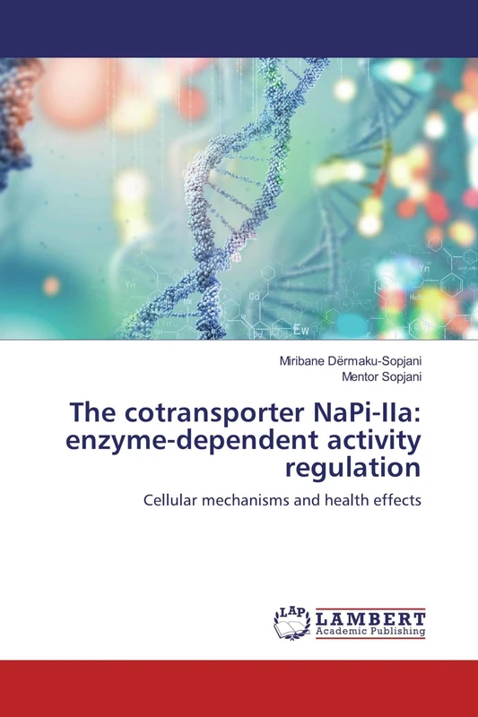 The cotransporter NaPi-IIa: enzyme-dependent activity regulation: Cellular mechanisms and health effects