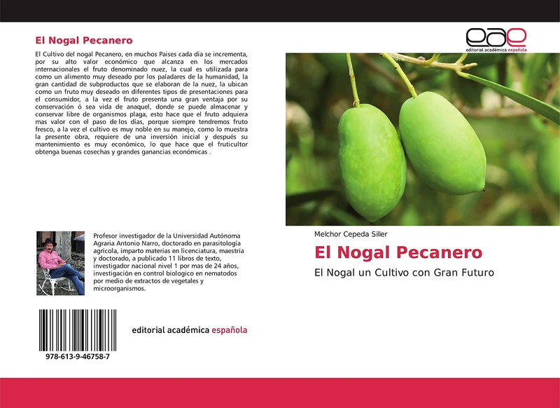 El Nogal Pecanero: El Nogal un Cultivo con Gran Futuro - Image 1