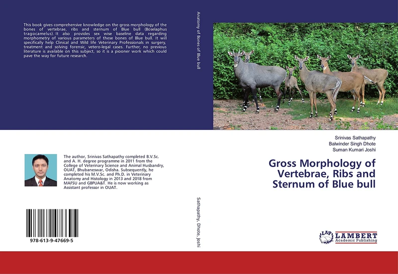 Gross Morphology of Vertebrae, Ribs and Sternum of Blue bull