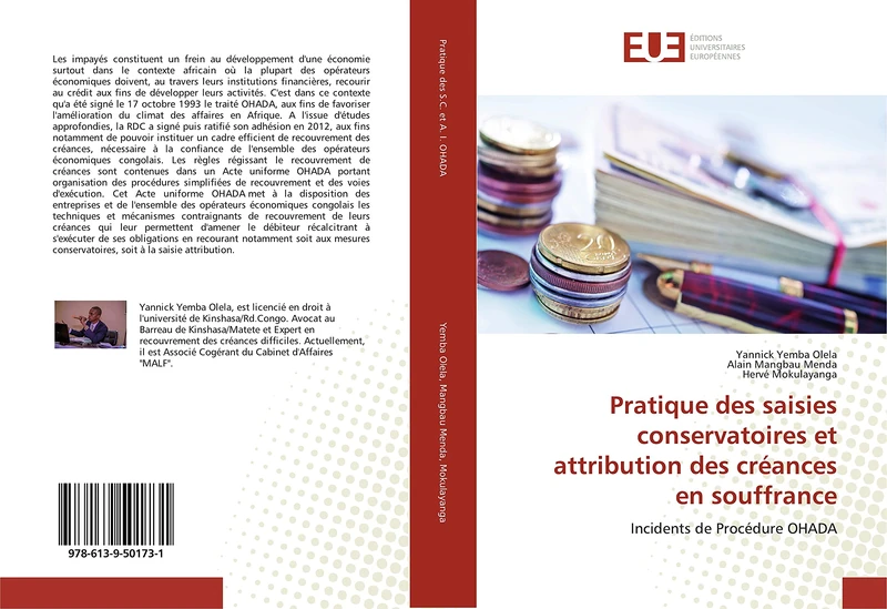 Pratique des saisies conservatoires et attribution des créances en souffrance: Incidents de Procédure OHADA
