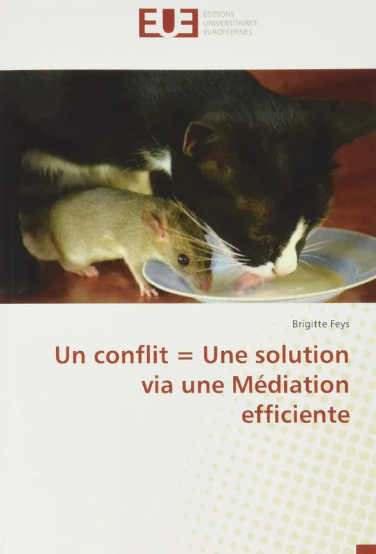 Un conflit = Une solution via une Médiation efficiente