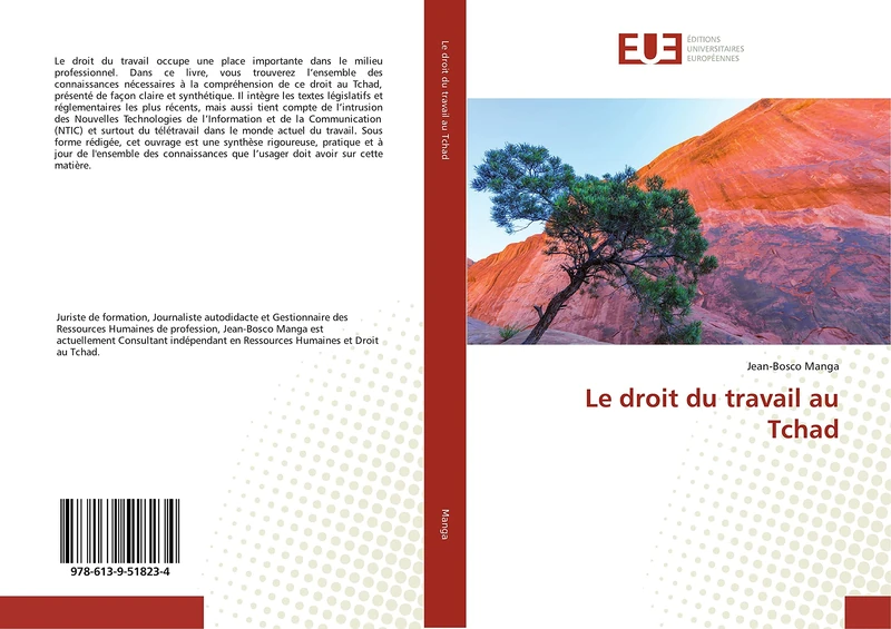 Le droit du travail au Tchad - Image 1