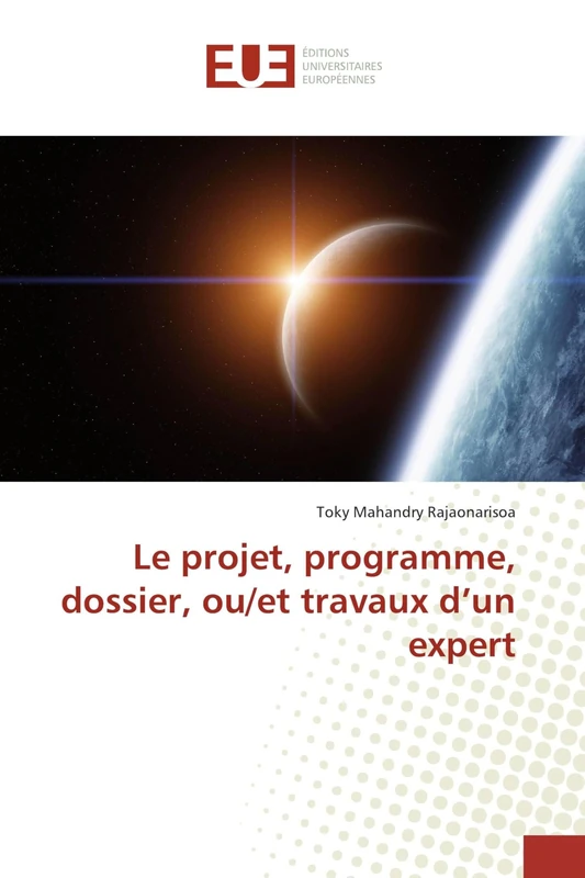 Le projet, programme, dossier, ou/et travaux d'un expert