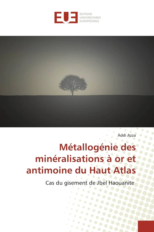 Métallogénie des minéralisations à or et antimoine du Haut Atlas: Cas du gisement de Jbel Haouanite