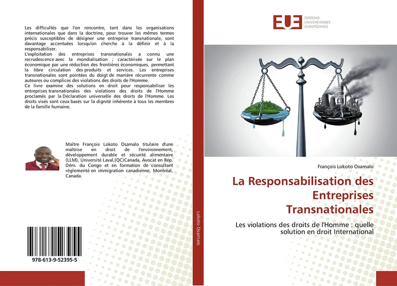 La Responsabilisation des Entreprises Transnationales: Les violations des droits de l'Homme : quelle solution en droit International - Image 1