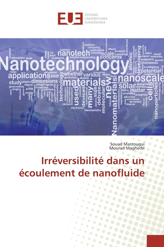 Irréversibilité dans un écoulement de nanofluide - Image 1