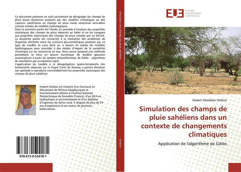 Simulation des champs de pluie sahéliens dans un contexte de changements climatiques: Application de l'algorithme de Gibbs - Image 1