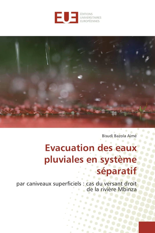 Evacuation des eaux pluviales en système séparatif: par caniveaux superficiels : cas du versant droit de la rivière Mbinza - Image 1