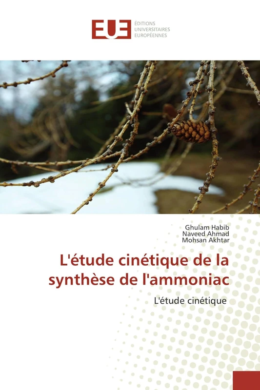 L'étude cinétique de la synthèse de l'ammoniac: L'étude cinétique