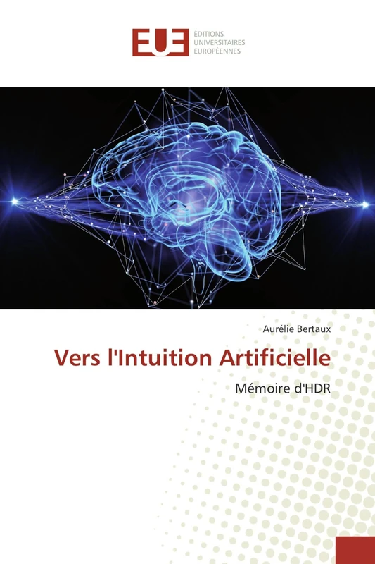 Vers l'Intuition Artificielle: Mémoire d'HDR - Image 1