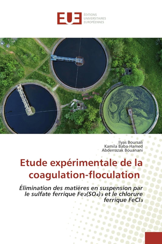Etude expérimentale de la coagulation-floculation: Élimination des matières en suspension par le sulfate ferrique Fe₂(SO₄)₃ et le chlorure ferrique FeCl₃ - Image 1