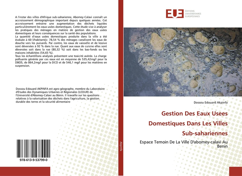 Gestion Des Eaux Usees Domestiques Dans Les Villes Sub-sahariennes: Espace Temoin De La Ville D'abomey-calavi Au Benin