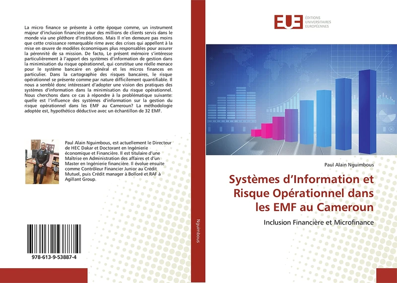 Systèmes d’Information et Risque Opérationnel dans les EMF au Cameroun: Inclusion Financière et Microfinance