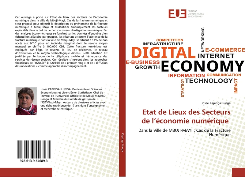 Etat de Lieux des Secteurs de l’économie numérique: Dans la Ville de MBUJI-MAYI : Cas de la Fracture Numérique - Image 1