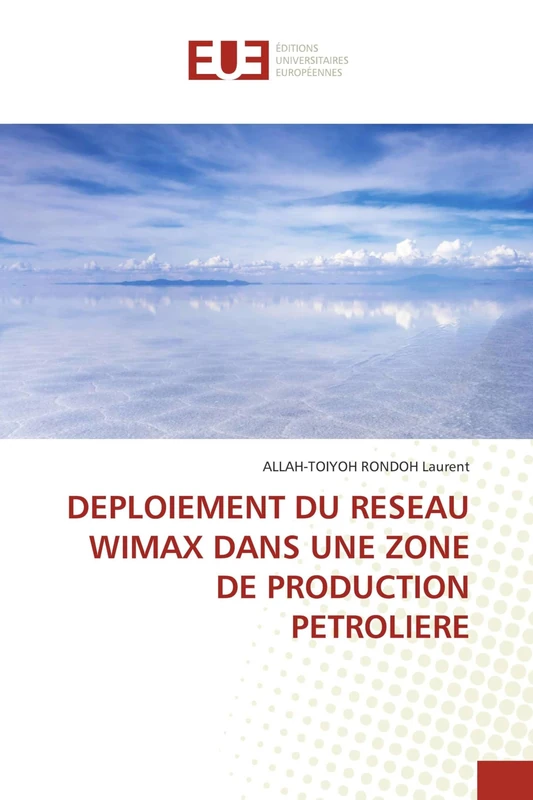DEPLOIEMENT DU RESEAU WIMAX DANS UNE ZONE DE PRODUCTION PETROLIERE - Image 1