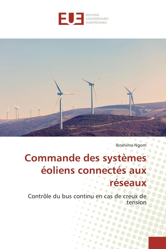 Commande des systèmes éoliens connectés aux réseaux: Contrôle du bus continu en cas de creux de tension