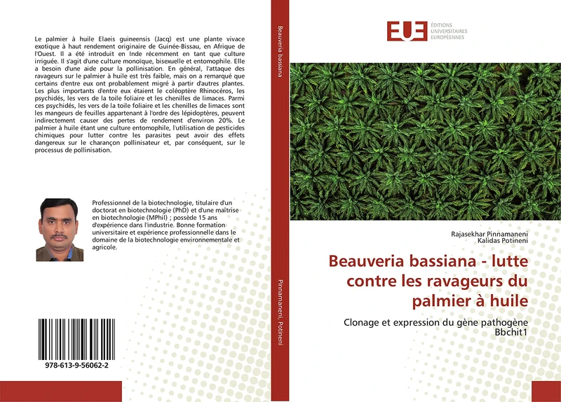 Beauveria bassiana - lutte contre les ravageurs du palmier à huile: Clonage et expression du gène pathogène Bbchit1 - Image 1