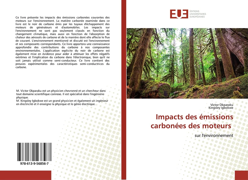 Impacts des émissions carbonées des moteurs: sur l'environnement