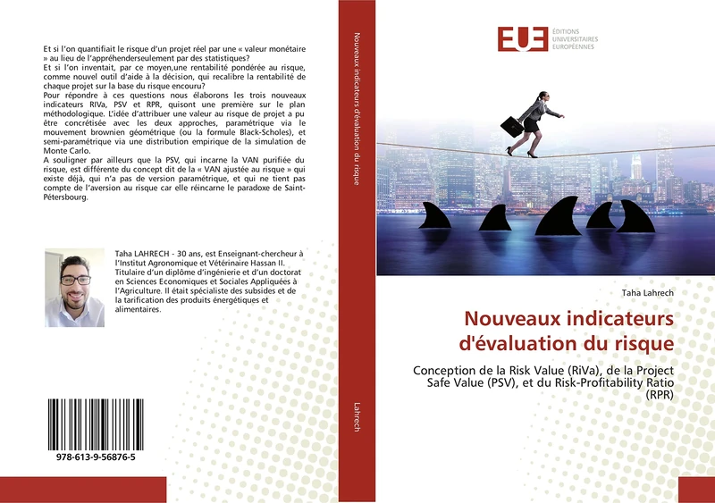 Nouveaux indicateurs d'évaluation du risque: Conception de la Risk Value (RiVa), de la Project Safe Value (PSV), et du Risk-Profitability Ratio (RPR) - Image 1