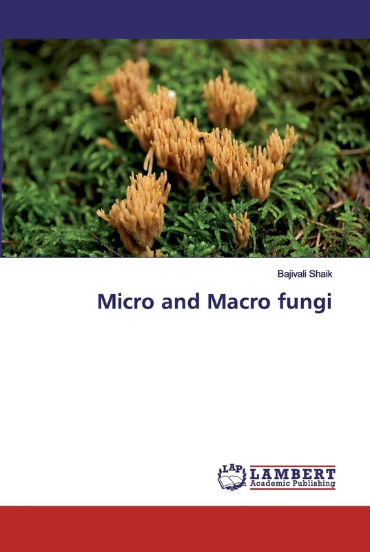 Micro and Macro fungi - Image 1