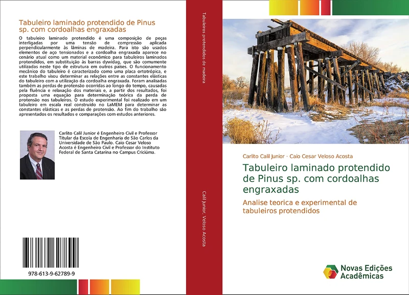 Tabuleiro laminado protendido de Pinus sp. com cordoalhas engraxadas: Analise teorica e experimental de tabuleiros protendidos