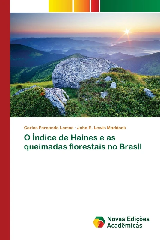 O Índice de Haines e as queimadas florestais no Brasil - Image 1