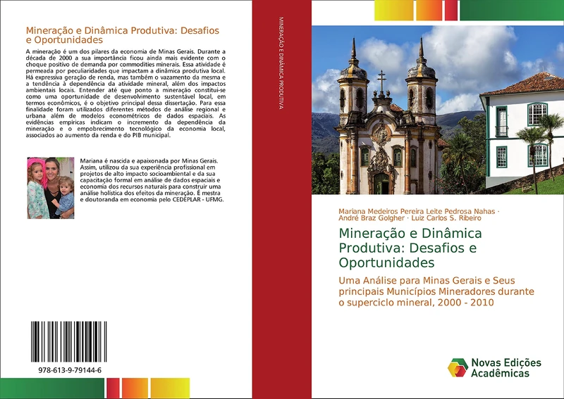 Mineração e Dinâmica Produtiva: Desafios e Oportunidades: Uma Análise para Minas Gerais e Seus principais Municípios Mineradores durante o superciclo mineral, 2000 - 2010