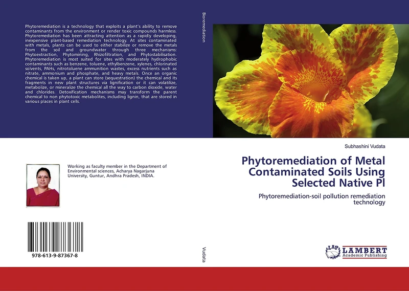 Phytoremediation of Metal Contaminated Soils Using Selected Native Pl: Phytoremediation-soil pollution remediation technology