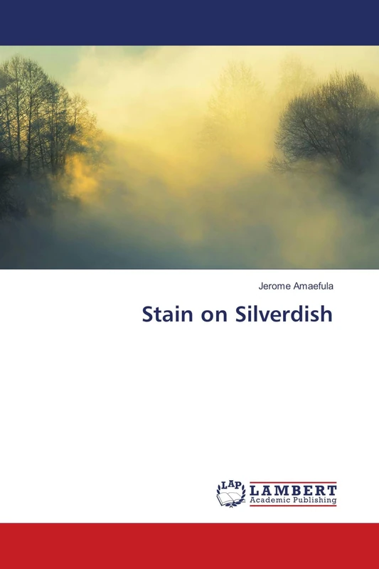 Stain on Silverdish - Image 1