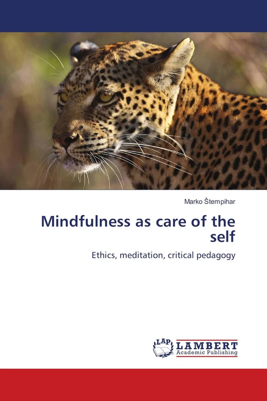 Mindfulness as care of the self: Ethics, meditation, critical pedagogy - Image 1