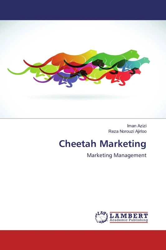 Cheetah Marketing: Marketing Management