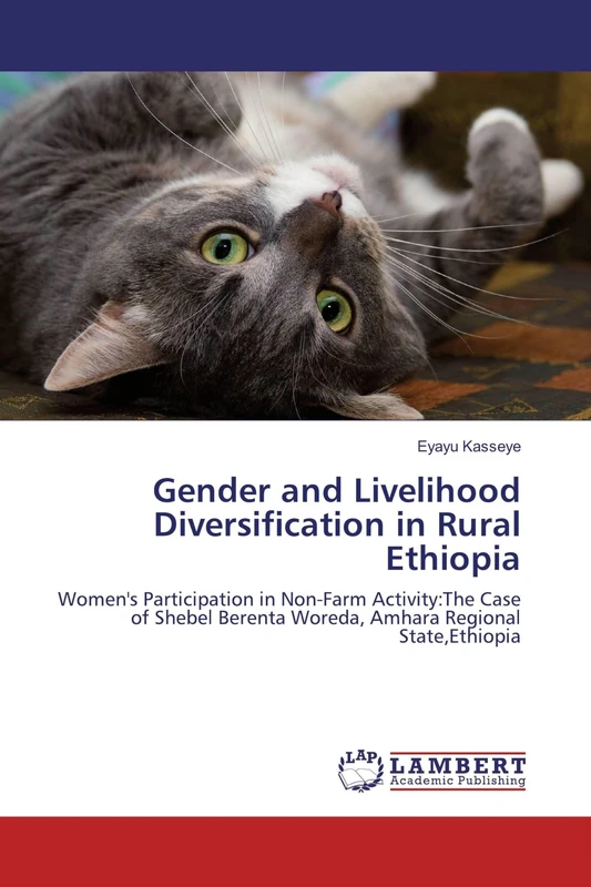 Gender and Livelihood Diversification in Rural Ethiopia: Women's Participation in Non-Farm Activity:The Case of Shebel Berenta Woreda, Amhara Regional State,Ethiopia