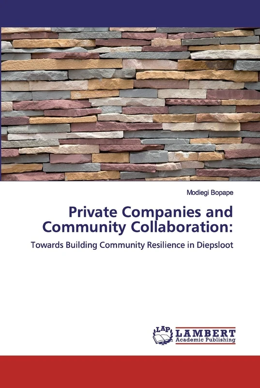 Private Companies and Community Collaboration:: Towards Building Community Resilience in Diepsloot