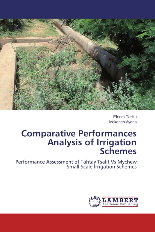 Comparative Performances Analysis of Irrigation Schemes: Performance Assessment of Tahtay Tsalit Vs Mychew Small Scale Irrigation Schemes - Image 1