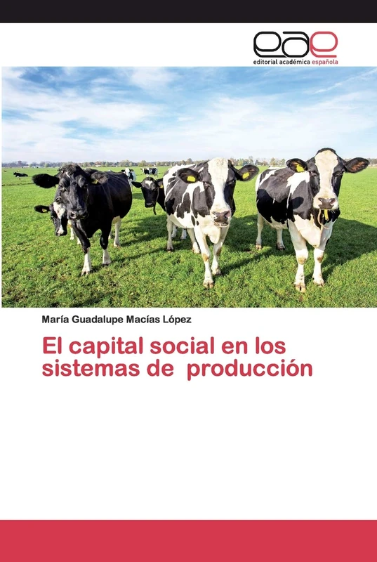 El capital social en los sistemas de producción - Image 1