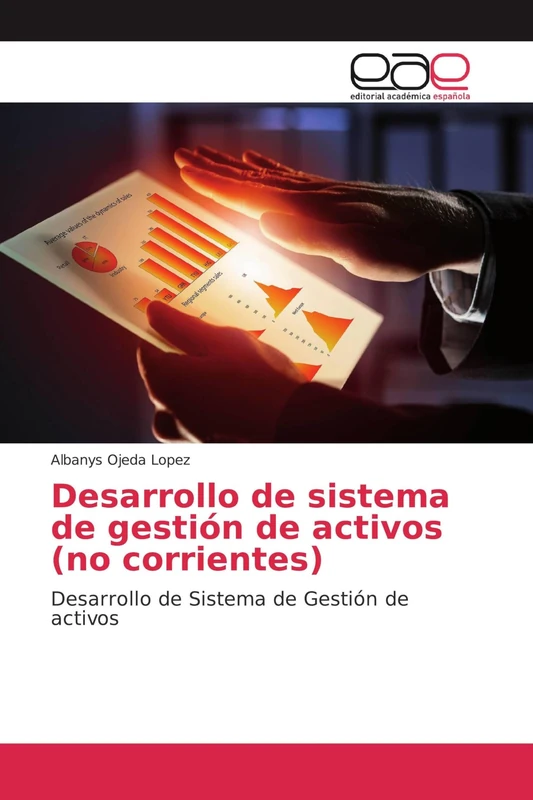 Desarrollo de sistema de gestión de activos (no corrientes): Desarrollo de Sistema de Gestión de activos