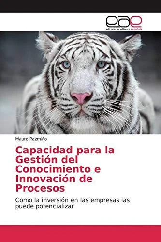 Capacidad para la Gestión del Conocimiento e Innovación de Procesos: Como la inversión en las empresas las puede potencializar