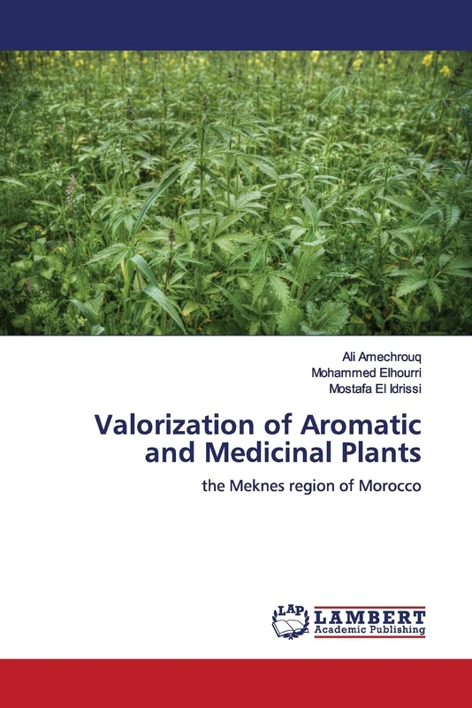 Valorization of Aromatic and Medicinal Plants: the Meknes region of Morocco - Image 1
