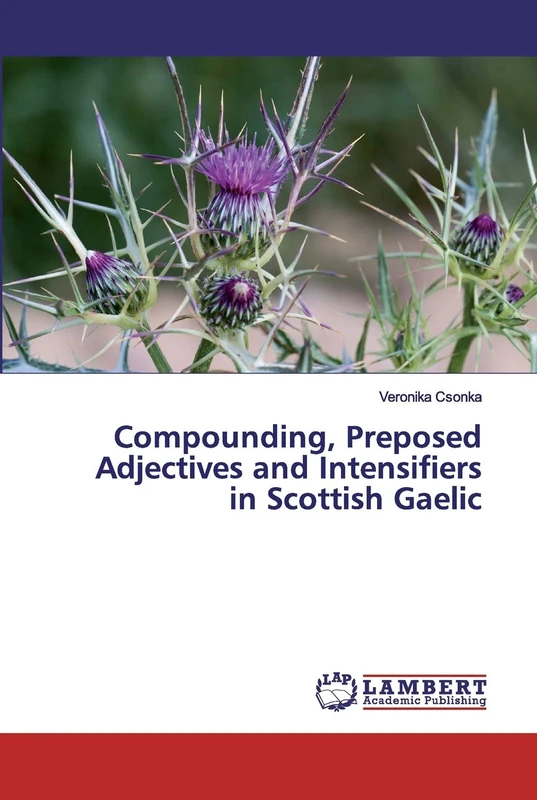 Compounding, Preposed Adjectives and Intensifiers in Scottish Gaelic - Image 1