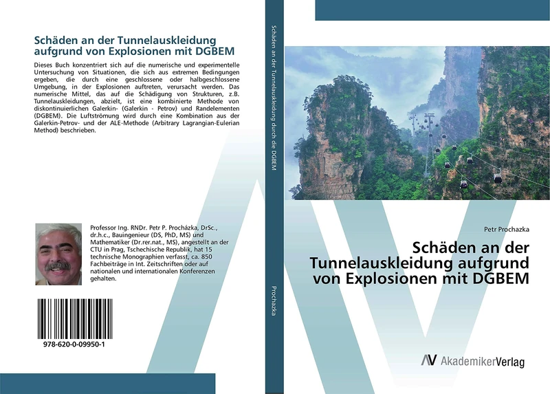 Schäden an der Tunnelauskleidung aufgrund von Explosionen mit DGBEM - Image 1