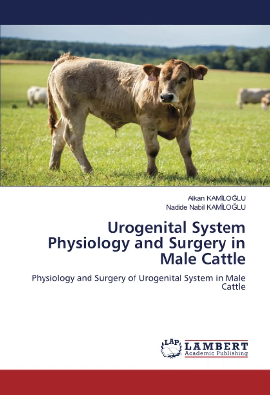 Urogenital System Physiology and Surgery in Male Cattle: Physiology and Surgery of Urogenital System in Male Cattle