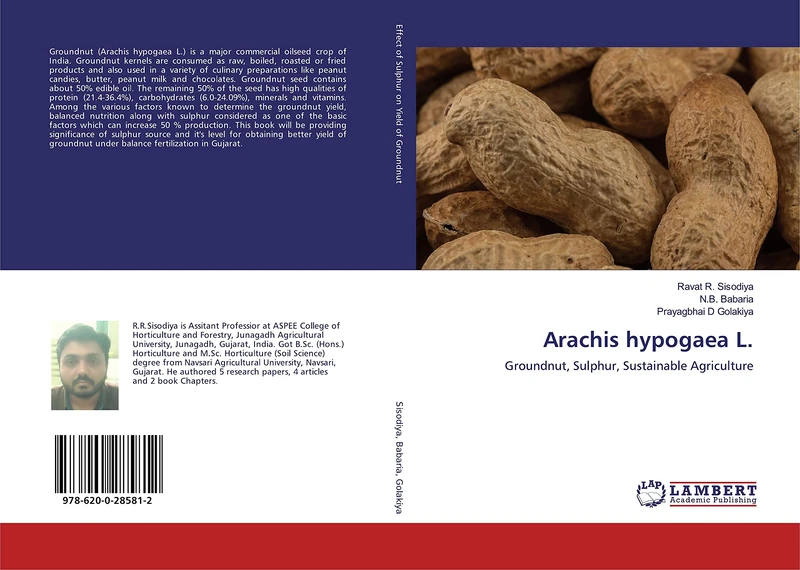 Arachis hypogaea L.: Groundnut, Sulphur, Sustainable Agriculture