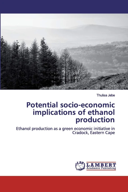 Potential socio-economic implications of ethanol production: Ethanol production as a green economic initiative in Cradock, Eastern Cape - Image 1