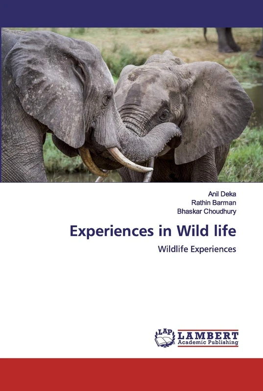 Experiences in Wild life: Wildlife Experiences