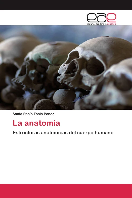 La anatomía: Estructuras anatómicas del cuerpo humano