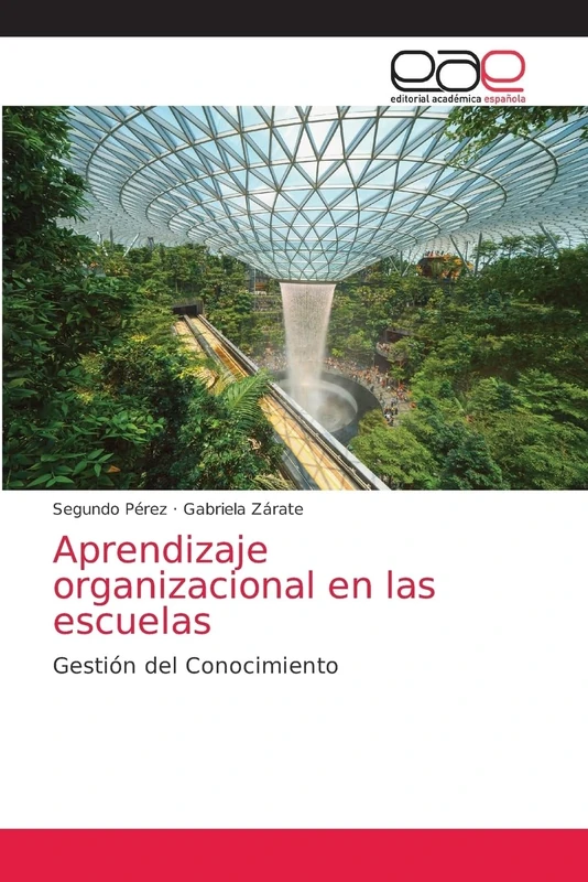 Aprendizaje organizacional en las escuelas: Gestión del Conocimiento
