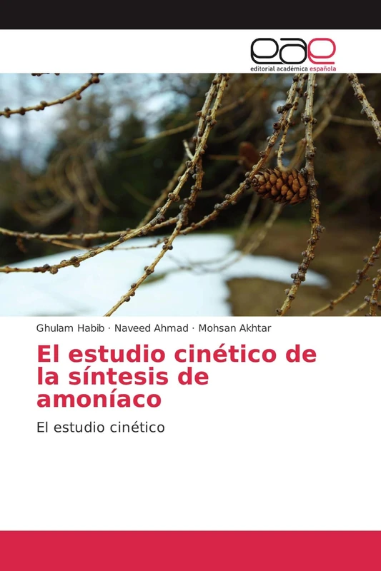 El estudio cinético de la síntesis de amoníaco: El estudio cinético