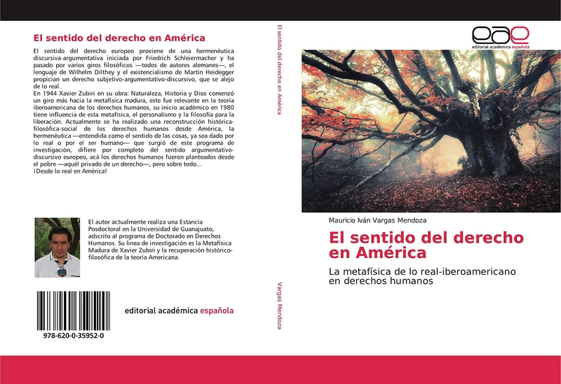 El sentido del derecho en América: La metafísica de lo real-iberoamericano en derechos humanos - Image 1