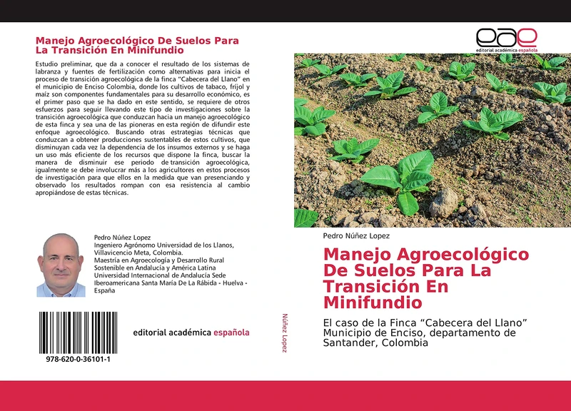 Manejo Agroecológico De Suelos Para La Transición En Minifundio: El caso de la Finca “Cabecera del Llano” Municipio de Enciso, departamento de Santander, Colombia - Image 1