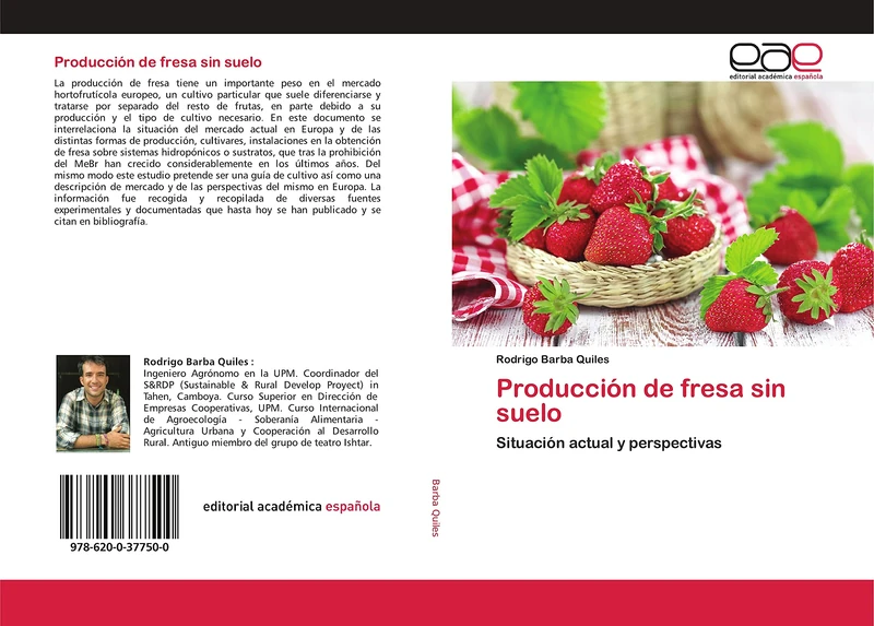 Producción de fresa sin suelo: Situación actual y perspectivas